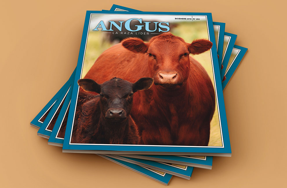 REVISTA ANGUS