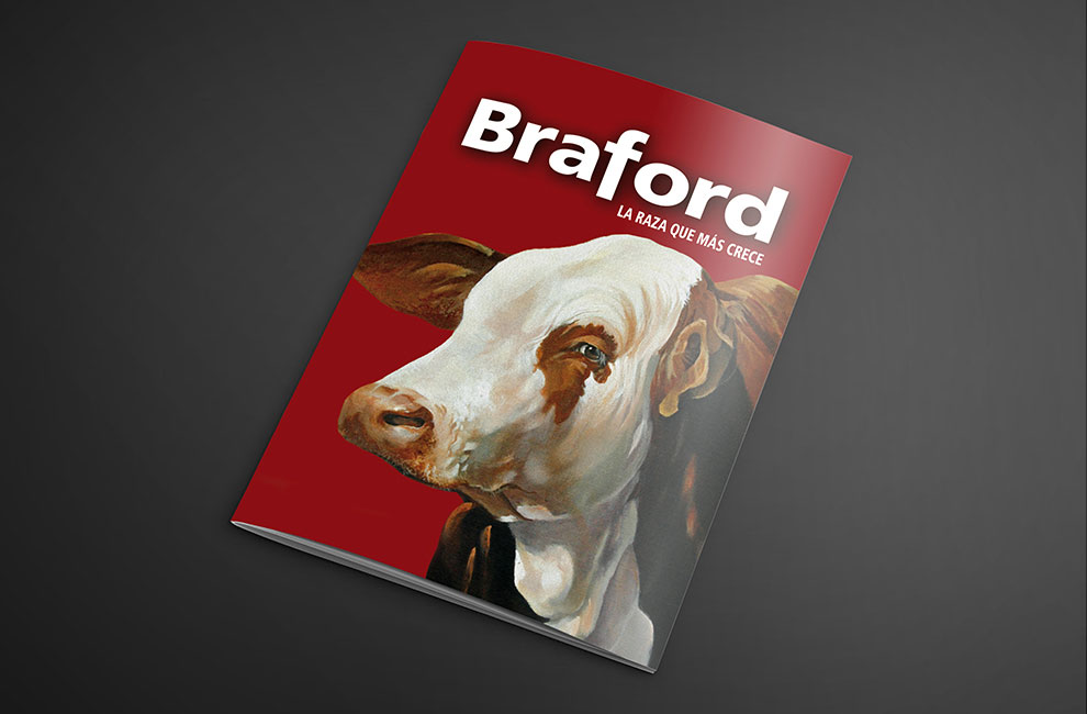 BRAFORD