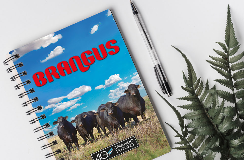 BRANGUS