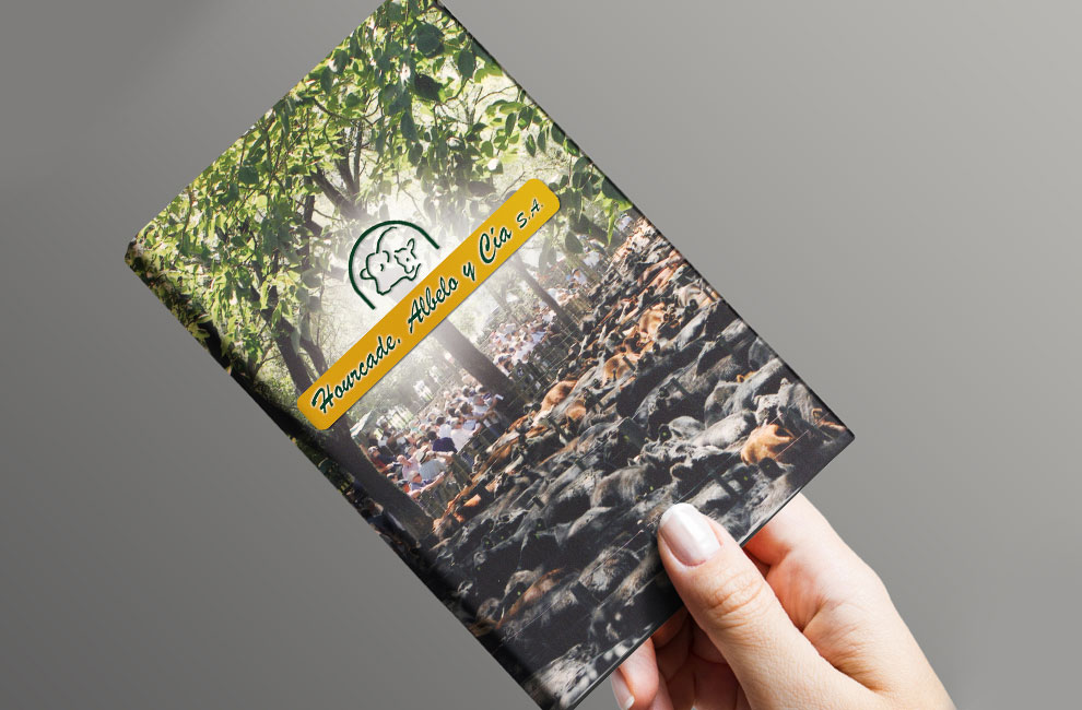 HOURCADE ALBELO Y CÍA.